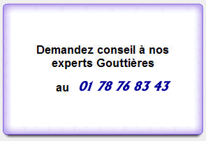 Conseils Gouttieres Paris 93 94 